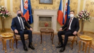TZ - SLovensko