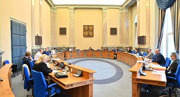 TZ - vláda