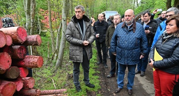 Premiér Babiš a další členové vlády se jeli přesvědčit o účinnosti opatření proti šíření kůrovce, 15. května 2019.