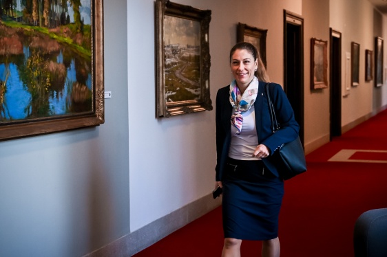 Výsledky jednání vlády 19. listopadu 2025