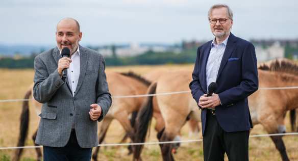 Premiér Petr Fiala na pražských Dívčích hradech pokřtil hříbě koně Převalského, 25. července 2023.