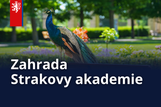 Zahrada Strakovy akademie