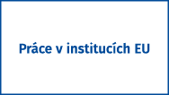 Kariéra v institucích Evropské unie
