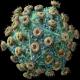 Virus HIV
